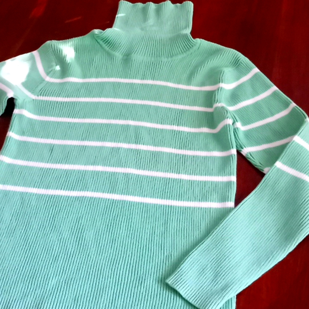 Talbots Small Green Turtleneck w/ White Strips